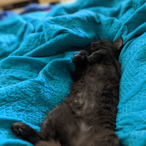 Meet your Posher, Yolapola - Picture 2 of 3